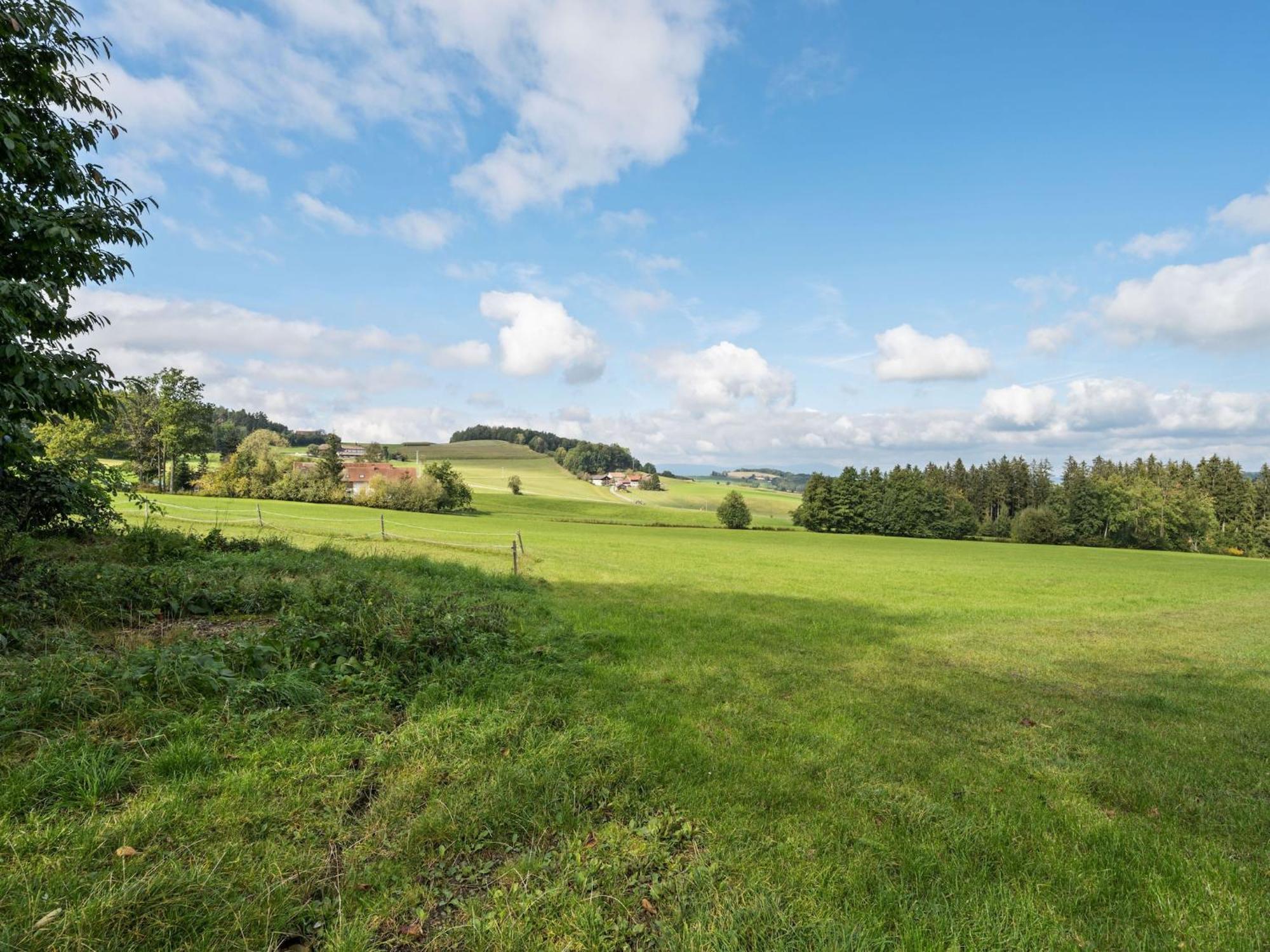 In Neukirchen Near Heiligen Blut