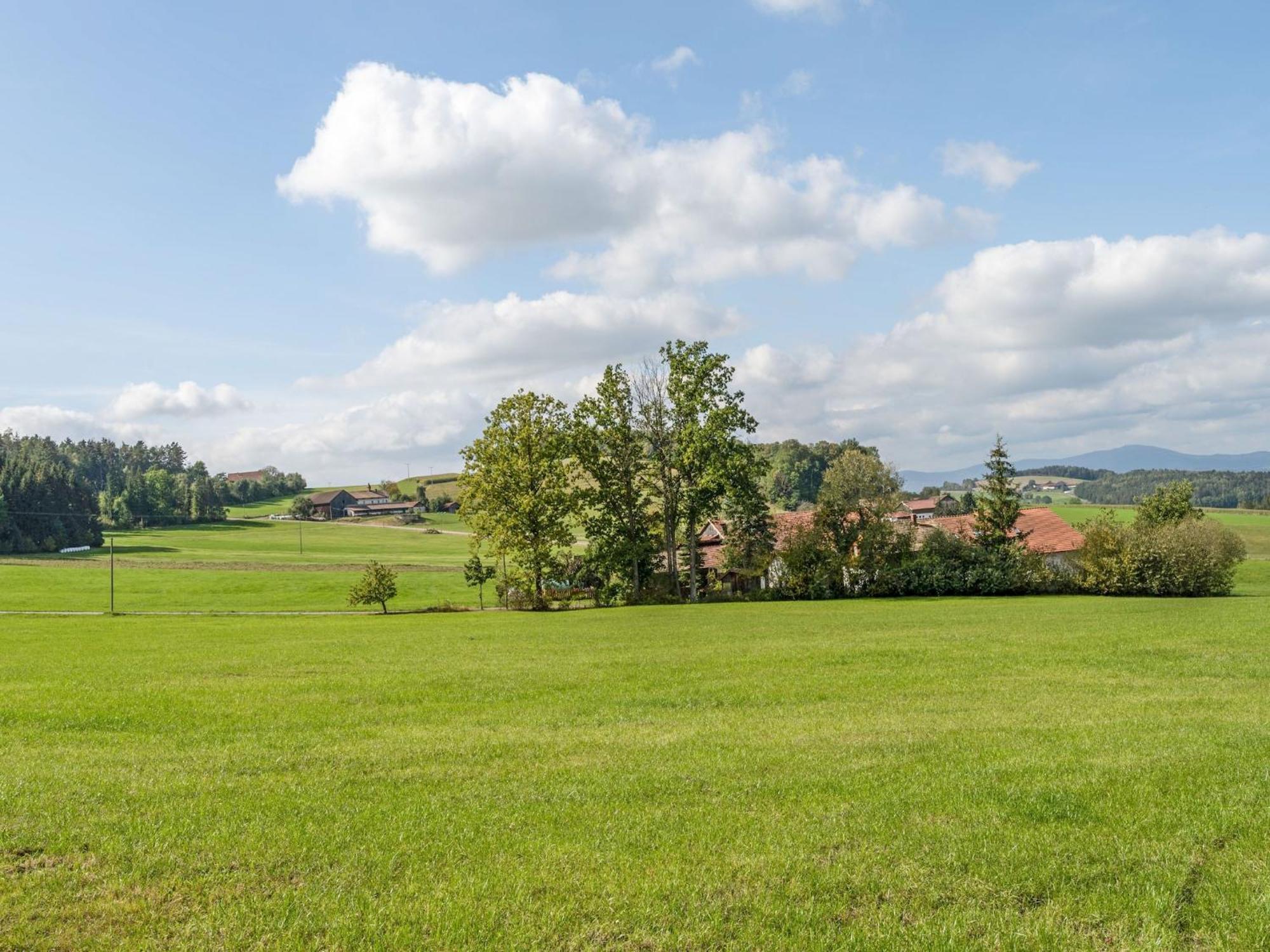 In Neukirchen Near Heiligen Blut *