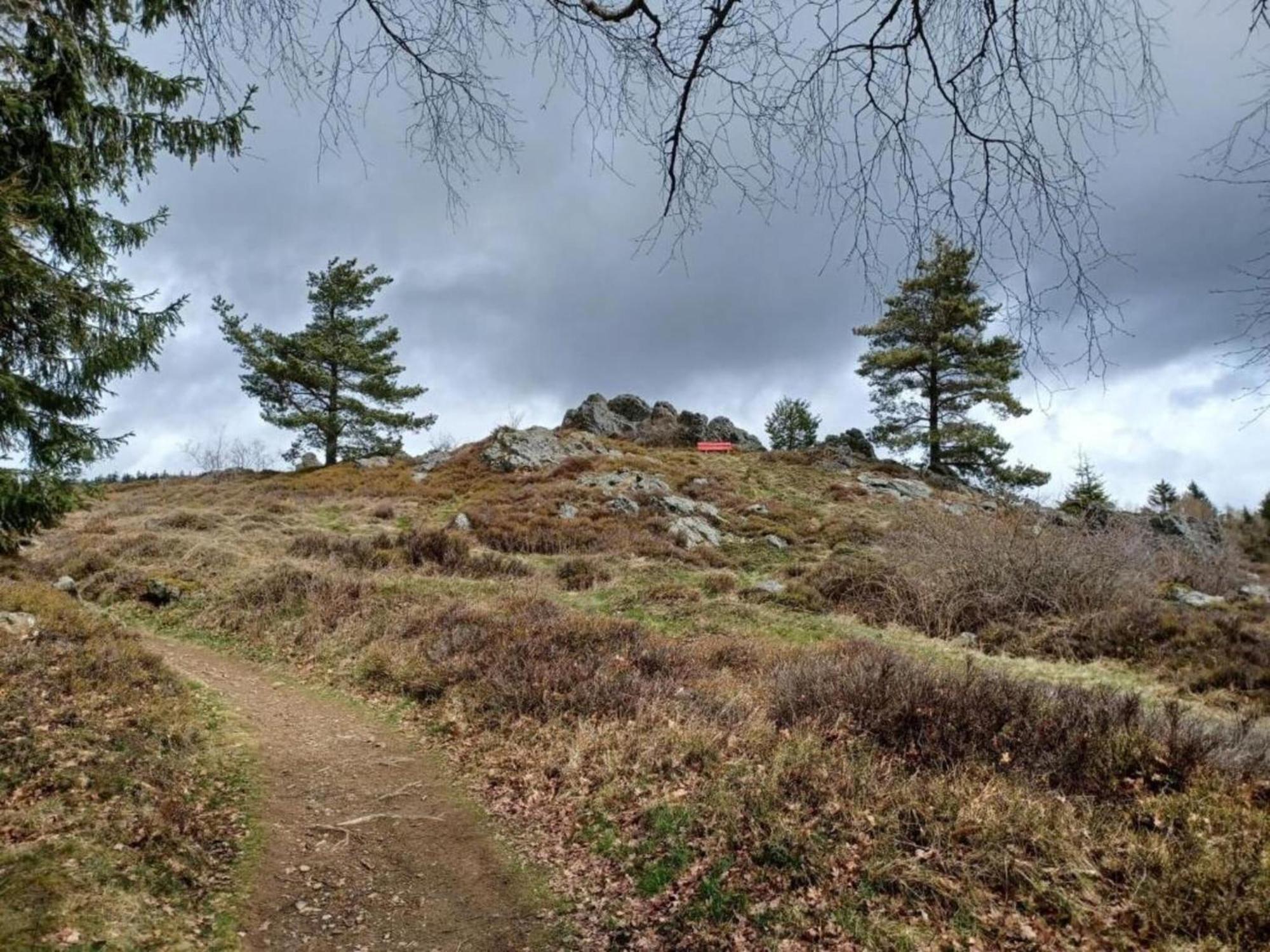 In Neukirchen Near Heiligen Blut * Neukirchen beim Heiligen Blut