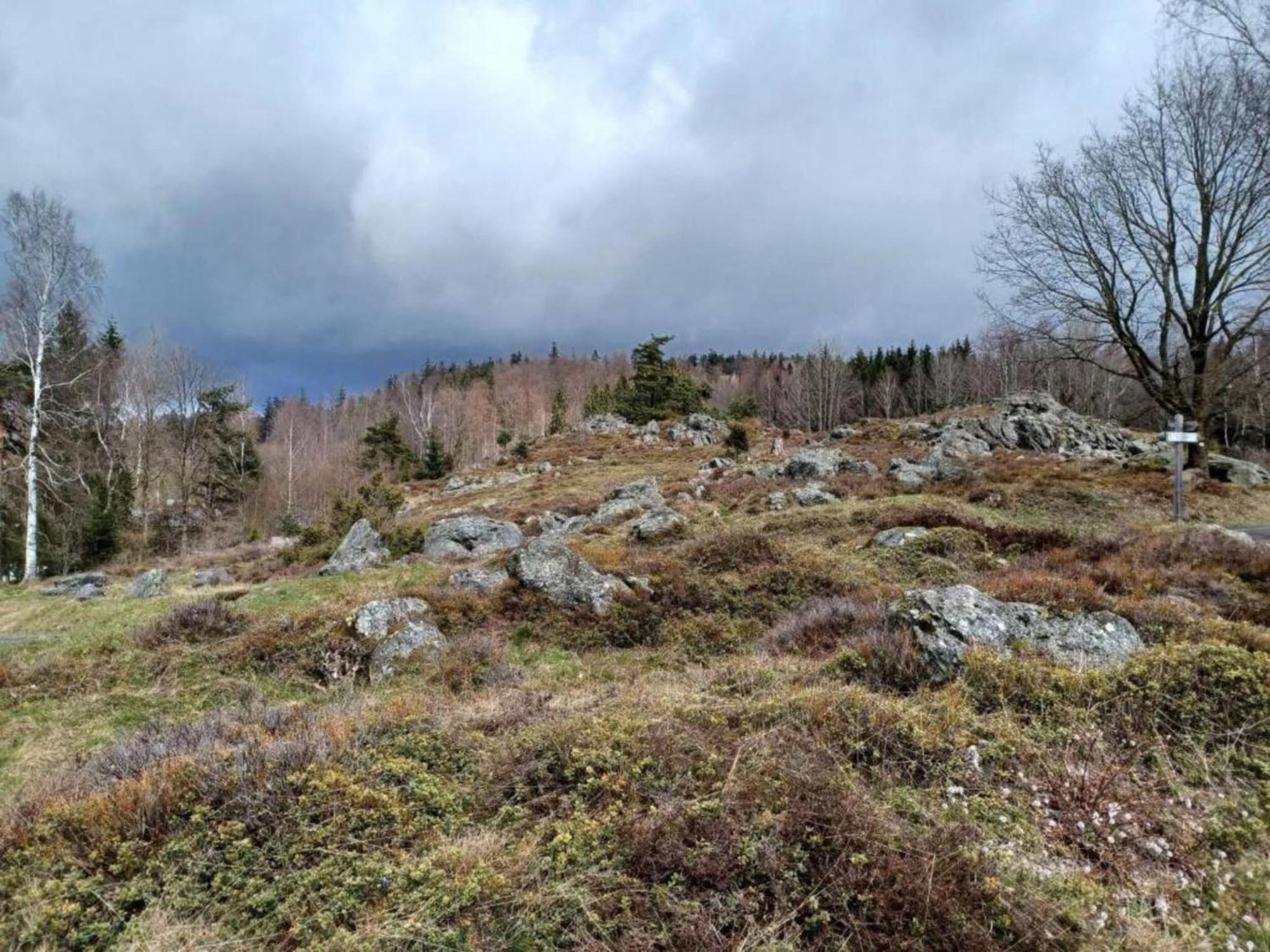 In Neukirchen Near Heiligen Blut *